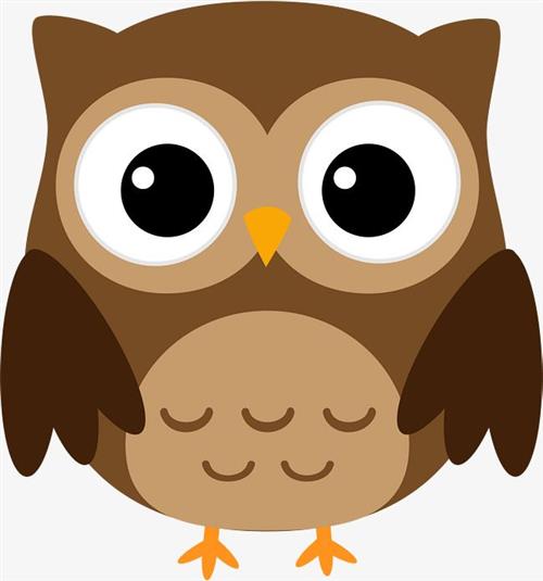 owl wisdom